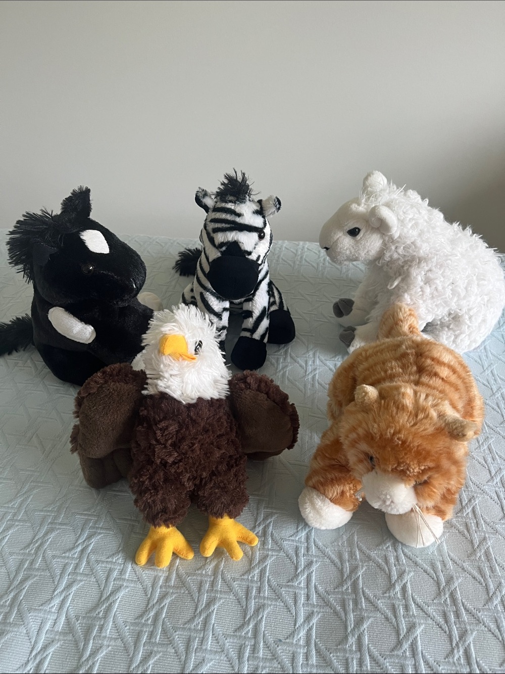 Stuffed amimal group